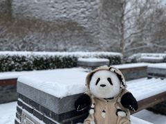 -北京明城墙遗址公园