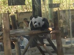 -栾川竹海野生动物园