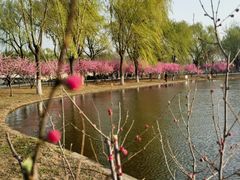 -石家庄市植物园