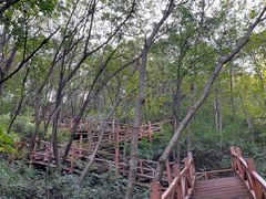 -大岭沟猕猴桃谷风景区