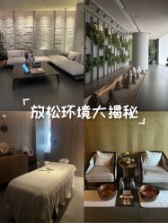 -VELEE·SPA高定疗愈会所