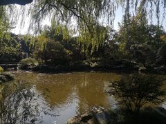 -秋霞圃