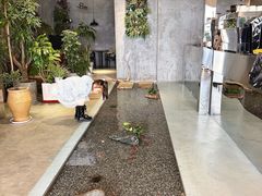 -致璞ZHIPU Rolling on(青岛极地店)