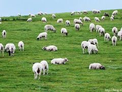 -青海湖国家重点风景名胜区