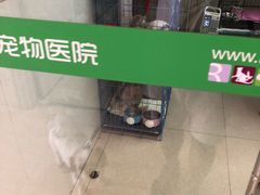 -瑞鹏宠物医院(大运分院)