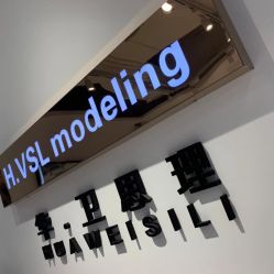 -华卫思理轻奢造型