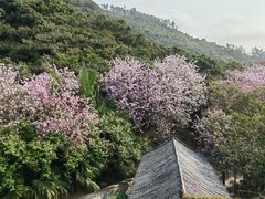 -小南山公园