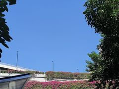 -广州市白云山风景名胜区