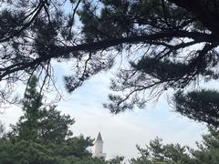 -崂山仰口游览区