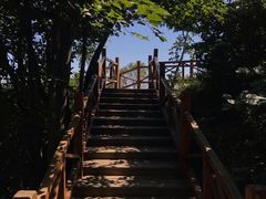 -大岭沟猕猴桃谷风景区