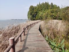 -东湖落雁景区