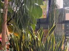-813芭依珊 BAESAn(皇冠十畝地店)