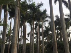 -深圳市罗湖体育馆