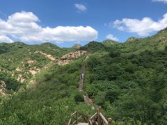 -大岭沟猕猴桃谷风景区