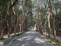 -同里国家湿地公园