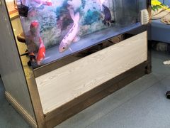 -朋朋修脚(友好广场店)