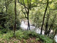 -西岭雪山大飞水景区