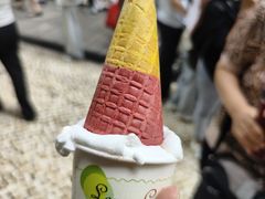 -柠檬车露(卖草地店)