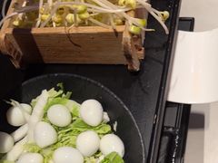-辣伍鲜毛肚老火锅(元一店)