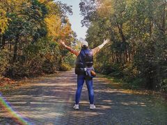 -上海海湾国家森林公园