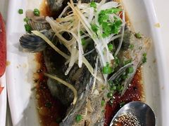 清蒸老虎斑-南海渔家•海鲜•正宗海南菜(海棠湾店)