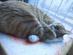 -李连贵酒家熏肉大饼(昆明街店)