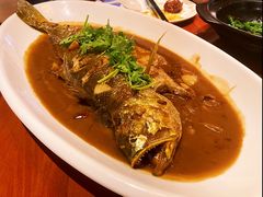 红烧黄花鱼-hallch好吃餐厅(奥体中心店)