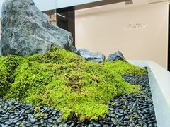 -湖锦酒楼(八一路店)