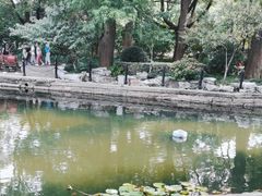 -莹珠阁·私房菜