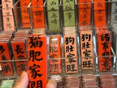 -垂虹公园