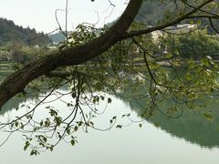 -明月山天沐温泉度假村