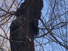 -长春公园(普阳街道)