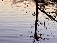 -紫霞湖公园