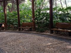 -陆家嘴世纪金融广场
