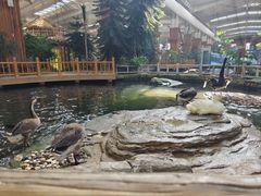 -南宫五洲植物乐园