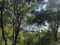 -西湖风景区-江洋畈生态公园