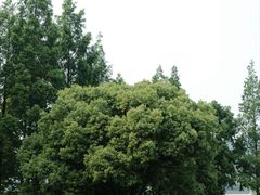 -东钱湖旅游度假区