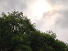 -广州雕塑公园