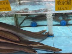 -食鼎记海鲜大排档(美食街店)
