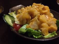 -春草居酒屋·晴子の店