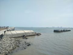 -东疆建设开发纪念公园