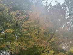 -杭州市第三人民医院