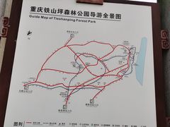 -铁山坪森林公园