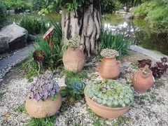 -崇圣寺三塔文化旅游区