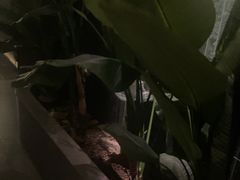 -涟LIAN·泰式按摩·MASSAGE·SPA(华强北店)
