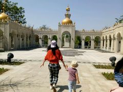 -武清南湖绿博园