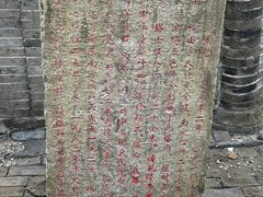 -上海佘山国家森林公园天马山园