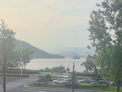 -浔味·山屿湖·正宗淳牌全鱼宴老字号