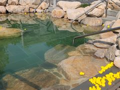 -太阳岛旅游度假区