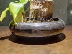 -南堂館川菜文化餐厅(天府店)